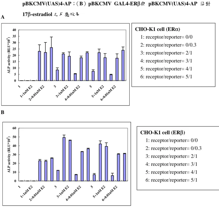 圖 六 、 CHO-K1 細 胞 經 共 同 短 暫 轉 染 不 同 比 例 之 （ A ） pBKCMV GAL4-ERα 與 pBKCMV(UAS)4-AP； （B）pBKCMV GAL4-ER β 與 pBKCMV(UAS)4-AP 後對 17β-estradiol 之反應效果 0510152025303540 1 1+ 1n M  E2 2+ 0