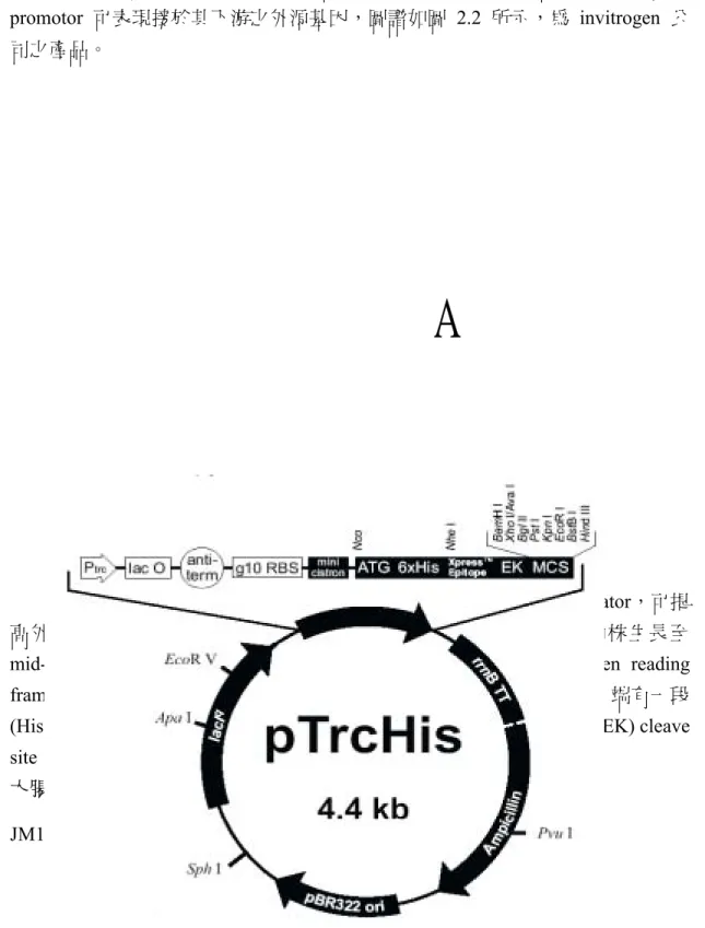 圖 2.2、表現載體 pTrcHisA 之圖譜  Fig.2.2 Map of the pTrcHisA expression vector 