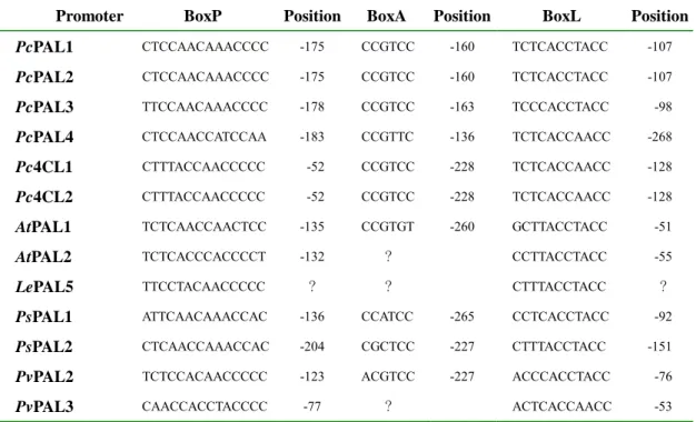 Table 2.  Putative cis-acting elements and their positions on various PAL and 4CL  gene promoters