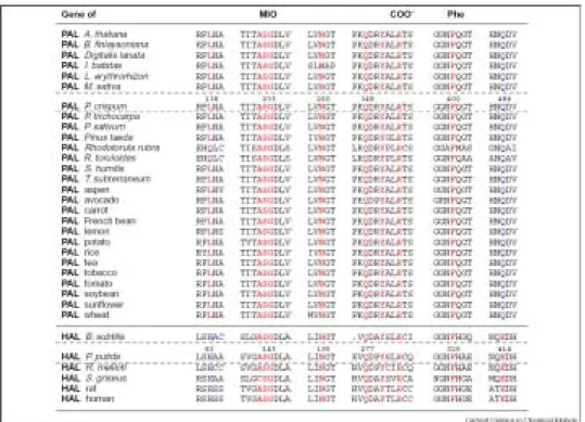 Figure 3.  Comparison of the amino acid sequences around the active sites of PAL  and HAL of different origins