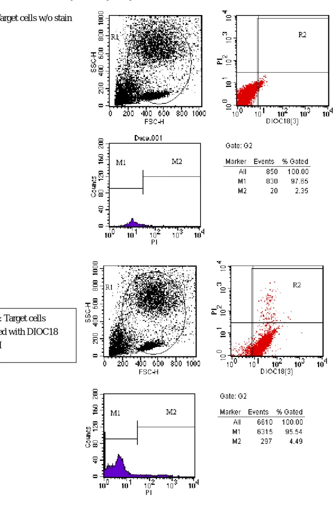 Fig 2: Target cells  stained with DIOC18  (3)/PI  