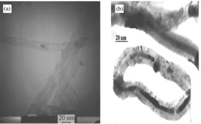 Fig. 1. TEM image of carbon nanotubes synthesized from: (a) amorphous carbon and Co nanoparticles supported on zeolite Na-Y at 973 K, B 0 Torr H 2 atmosphere and (b) acetylene and Co nanoparticles supported on zeolite Na-Y at 973 K.