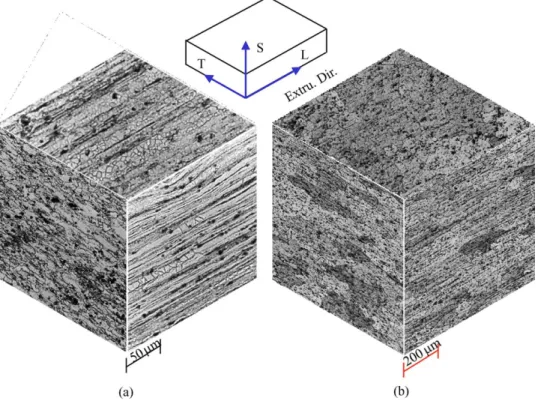 Fig. 4. Three-dimensional optical microstructure of the etched (a) PM and (b) IM 6061 Al alloy in the T6 heat treatment.