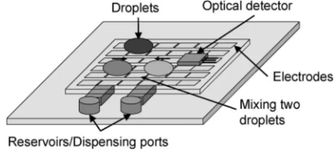Fig. 1. Schematic view of digital microfluidic biochips.
