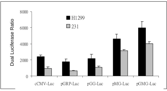 Fig. 2. The activity of the GRP-78 promoter was significantly increased by adding the GRP and CMV enhancers.