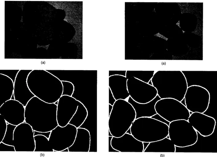 Fig. 22 Experiment 4: (a) one of the four source images; (b) the segmentation result.