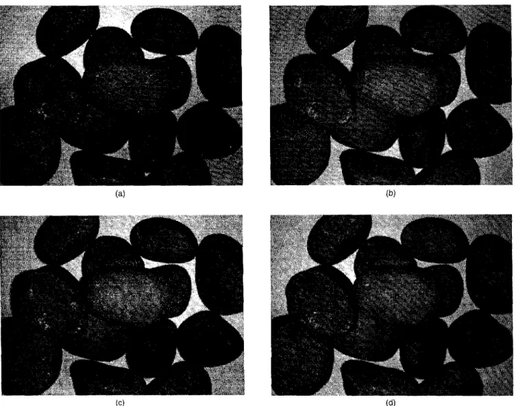 Fig. 4 Source images with light sources to four directions (a) N, (b) S, (c) E, and (d) W to the camera The resolution is 479H x 632W