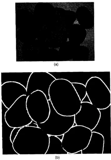 Fig. 21 Experiment 3: (a) one of the four source images; (b) the segmentation result.