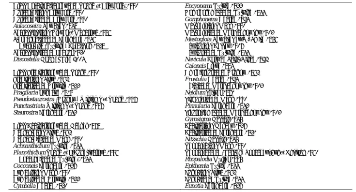 Table 2. Summaries of the diatom taxa and their taxonomic positions described in the present article