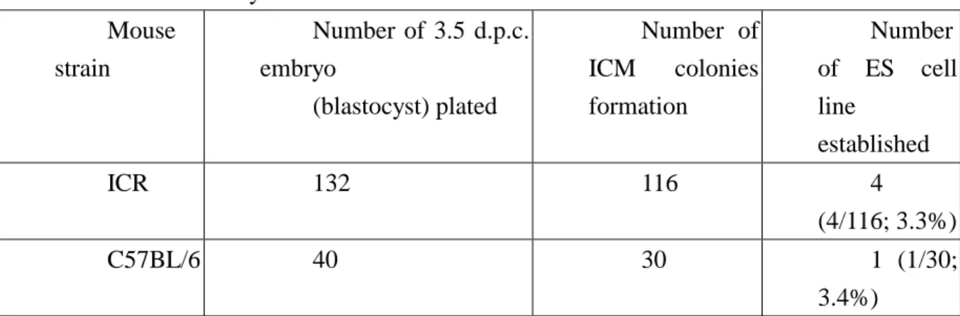 Table 1: Successfully established mouse ES cell lines  Mouse  strain  Number of 3.5 d.p.c