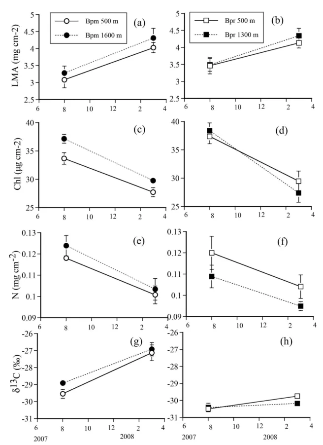 Fig. 3. Leaf mass per area (LMA) (a, b), chlorophyll content (Chl) (c, d), nitrogen content (N) (e, f) and stable carbon isotope  ratio (δ 13 C) (g, h) of leaves of Bidens pilosa  var