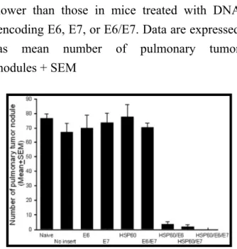 Fig. 6. In vivo tumor treatment experiments  in mice with various therapeutic conditions