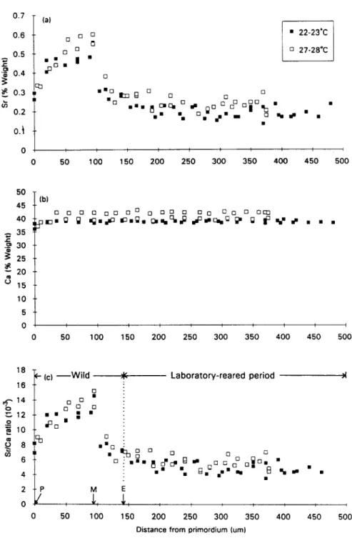 Fig.  2.  Changes  in  Sr  (a),  Ca  (b)  contents  and  Sr/Ca  ratios  (c)  in  otoliths  during  development
