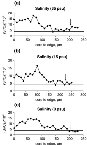 Fig. 4. Sr/Ca ratios measured from the core to otolith edge along the longest axis for three salinity conditions (a) salinity 35 ‰ (seawater) (b) salinity 15 ‰ (brackish water) and (c) salinity 0‰ (freshwater);
