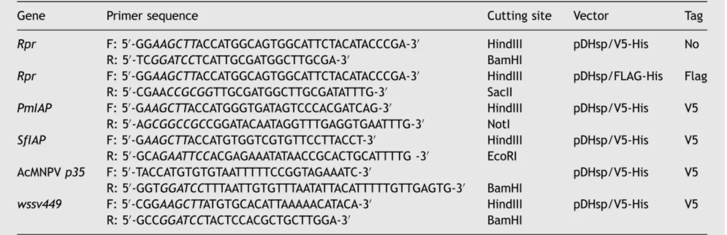 Table 3 Primer sequence list for the preparation of various PmIAP deletion constructs