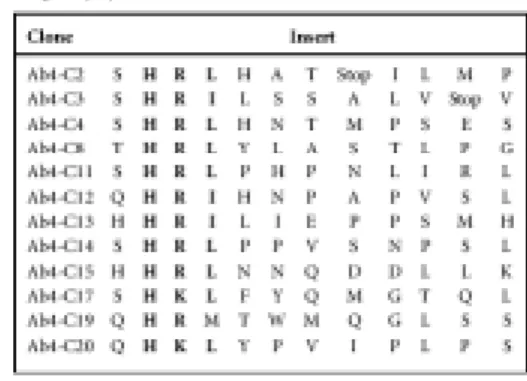 Fig. 2. Identification of DEN-2 specific  monoclonal antibody (Ab4) selected phage  clones by ELISA assay