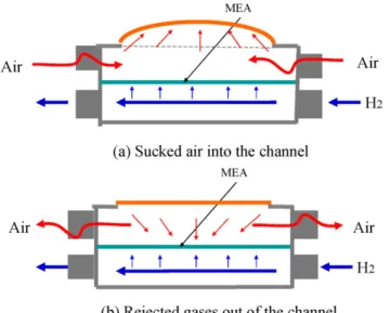 Fig. 3. The outlook of a PZT-PEMFC stack.