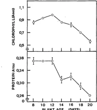 Table 1 Average width of stomata on the adaxial surface of the third leaf of rice seedlings