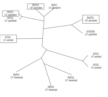 Fig. 4a represents the sequence comparison for related tarantula toxins. 