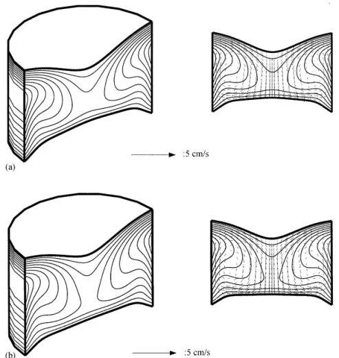 Fig. 7. Some solutions of Fig. 6: (a) 2D solution at ¹1"15003C; (b) 2D solution at ¹1"15103C; (b@) 3D m0 solution at ¹1"15103C;