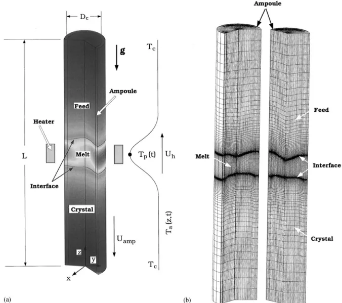 Fig. 1. (a) Schematic sketch of vertical zone-melting (VZM) crystal growth; (b) a sample mesh for calculation using "nite volume method.