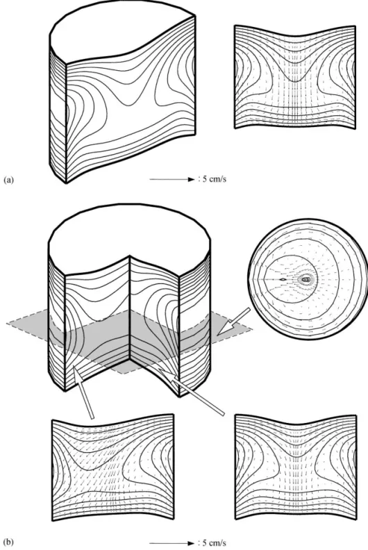 Fig. 5. A sample of multiple solutions at 0.1 g from Fig. 4: (a) 2D solution; (b) 3D solution.