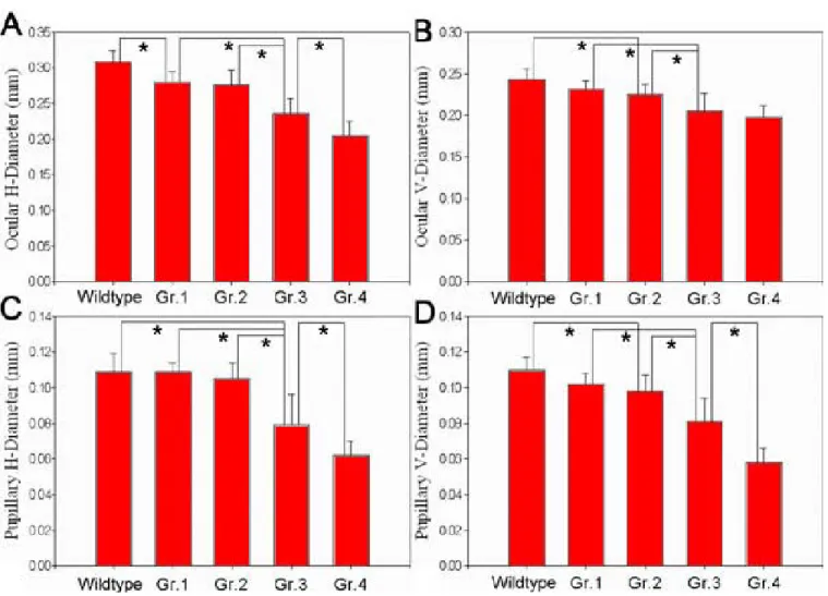 Figure 2. Ocular dimensions of the wildtype and Egr1 morphants with different grades of deformity at 72 h postfertilization