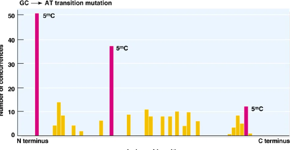 Fig. 7.x  Distribution of spontaneous GC-to-AC transition mutations to stop  codons 