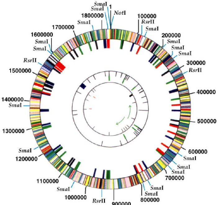 Fig. 9.11  The annotated genome of H. influenzae