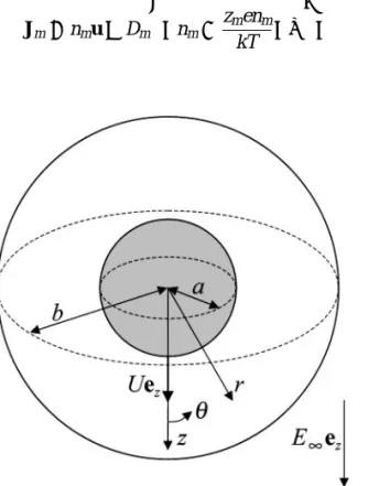 FIG. 1. Geometric sketch of a spherical particle undergoing electrophoresis at the center of a spherical cell.