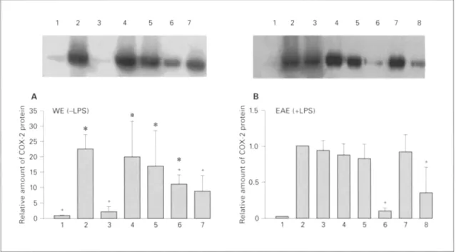 Fig. 4. Western blot analysis of COX-2 protein expression atter treat-  ment with extracts