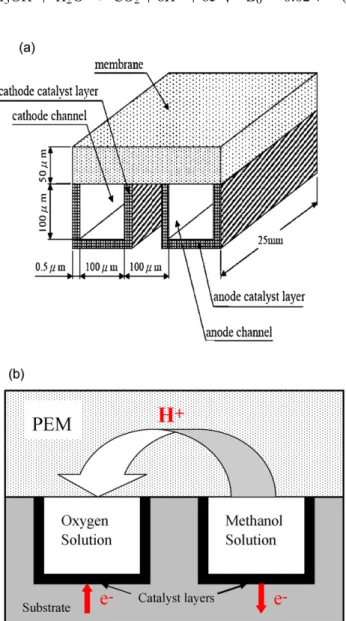 Fig. 1. (a) The diagram of system configuration; (b) the cross-sectional view of system and indication of working principle.