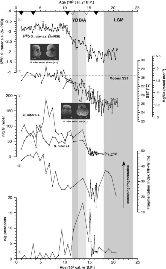 Fig. 3. Tracer records of core MD01-2390 since the LGM. (a) Oxygen isotope data of G. ruber s.s