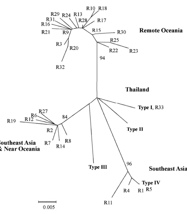 圖 1. 緬甸小鼠(Rattus exulans)粒線體 DNA 控制區域 4 種單倍基因型(Types I-IV)，與 NCBI 核酸序 列資料庫中 32 種緬甸小鼠基因型(R1-R25 與 R27-R33)間以鄰聚法(neighbor-joining method)建構之 親緣關係圖。