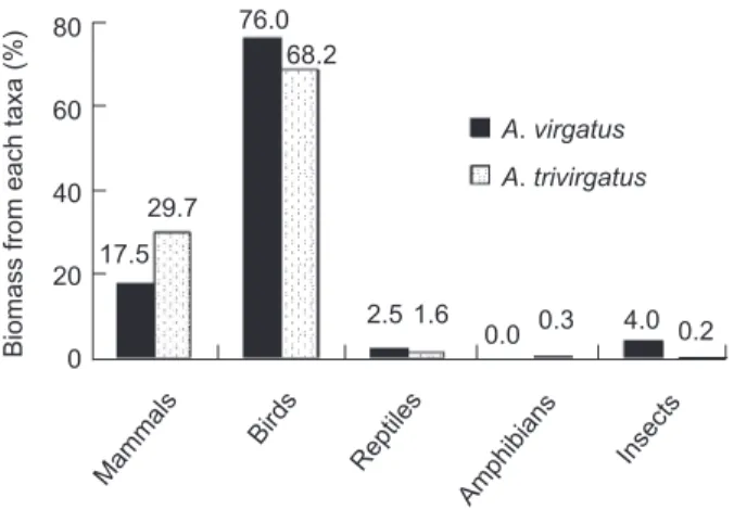 Fig.  1. Relative  proportion  of  biomass  of  each  taxon  con- con-sumed by Accipiter virgatus and A