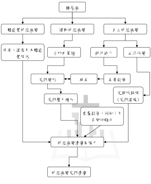 圖 1 神經病變足部潰瘍路徑示意圖 糖尿病 體感覺神經病變 運動神經病變  自主神經病變 排汗減少  血流改變 小肌肉萎縮 疼痛、溫度及本體感覺降低 足部變形 足部壓力增加硬皮 皮膚乾燥 足靜脈鼓脹(足部溫暖) 重覆創傷，例如：不合腳的鞋子 神經病變潰瘍風險中 神經病變足部潰瘍 