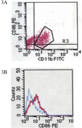 Fig.  3  CD11b +   cells  were  entirely  CD80  negative. A. Single cells were stained with  CD11b-FITC  and  CD80-PE