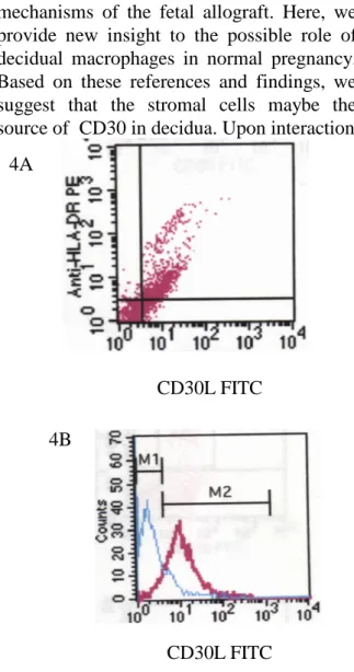 Fig. 4 HLA-DR +  cells were CD30L +  and  the  CD30L  was  medium  expression.  A. 