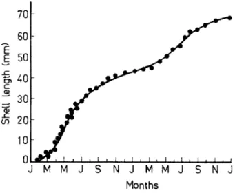 Fig.  6.  Monthly  growth  curve  of  small  abalones  cultured  in  grow-out  ponds. 