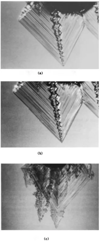 Figure  7.  Mechanism  of  corner  nucleation  for  the  growth of  lateral  (1 10)  faces