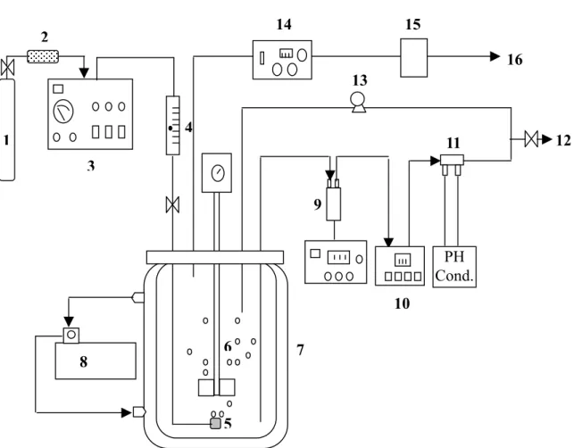 Figure 3.2 The experimental apparatus sketch of stirred reactor. 