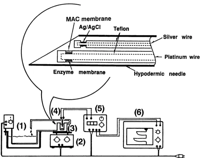 Fig. 1. Schematic diagram of the batch-type operation system. Key: (1) Thermostat circulating water bath, (2) Magnetic stirrer, (3) Water-jacketed glass reactor, (4) Miniaturized glucose sensor, (5) Potentiostat, (6) Chart recorder.