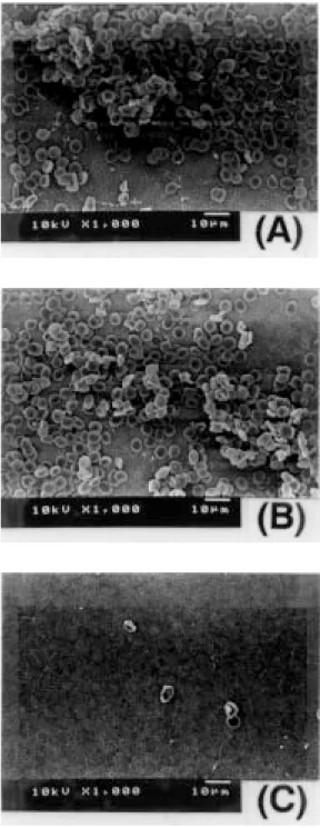 Fig. 3. Scanning electron micrograph of (A) CTA, (B) AB-CTA, and (C) MAC membranes after being contacted with platelet rich plasma for one hour.