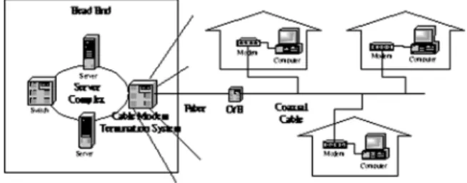 Fig. 1. Tree-and-branch topology of the HFC network.