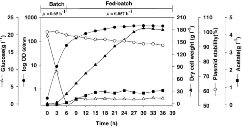 Fig. 3. High cell density fed-batch cultivation of recombinant Escherichia coli BL21(DE3)