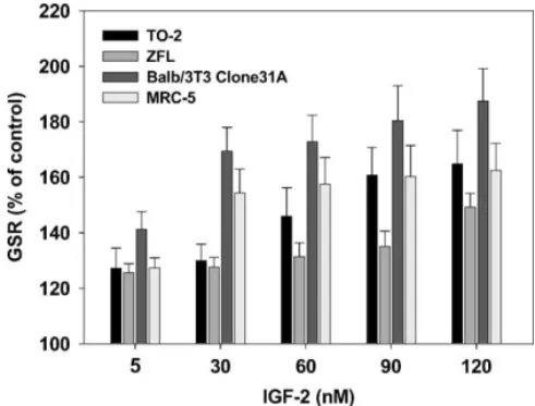 Fig. 5. Samples from each purification step analyzed by 16.5%