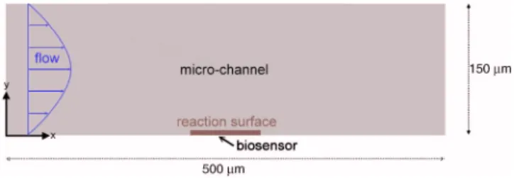 FIG. 1. 共Color online兲 Sketch of the 2D model. The size of the biosensor is 40 ␮ m in length and 3 ␮ m in thickness