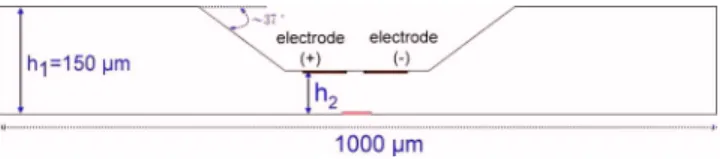 FIG. 15. 共Color online兲 The neck design of the microchannel.