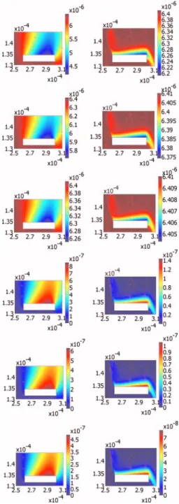FIG. 11. 共Color online兲 The development of the diffusion boundary layer of the IgG binding reaction without 共the left panel兲 or with 共the right panel兲 applying voltage 15 V rms 