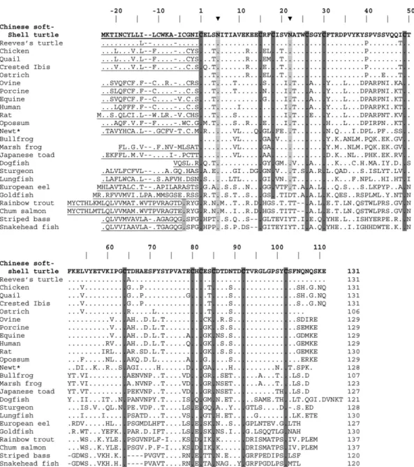 Fig. 2. Multiple sequence alignments of FSH subunits. The deduced amino acid sequence of the Chinese soft-shell turtle FSH cDNA are aligned with FSH subunit protein sequences from selected species of diVerent vertebrate groups (see Table 2 for reference